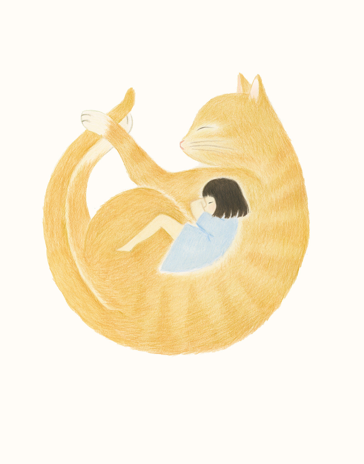 Cat Nap
