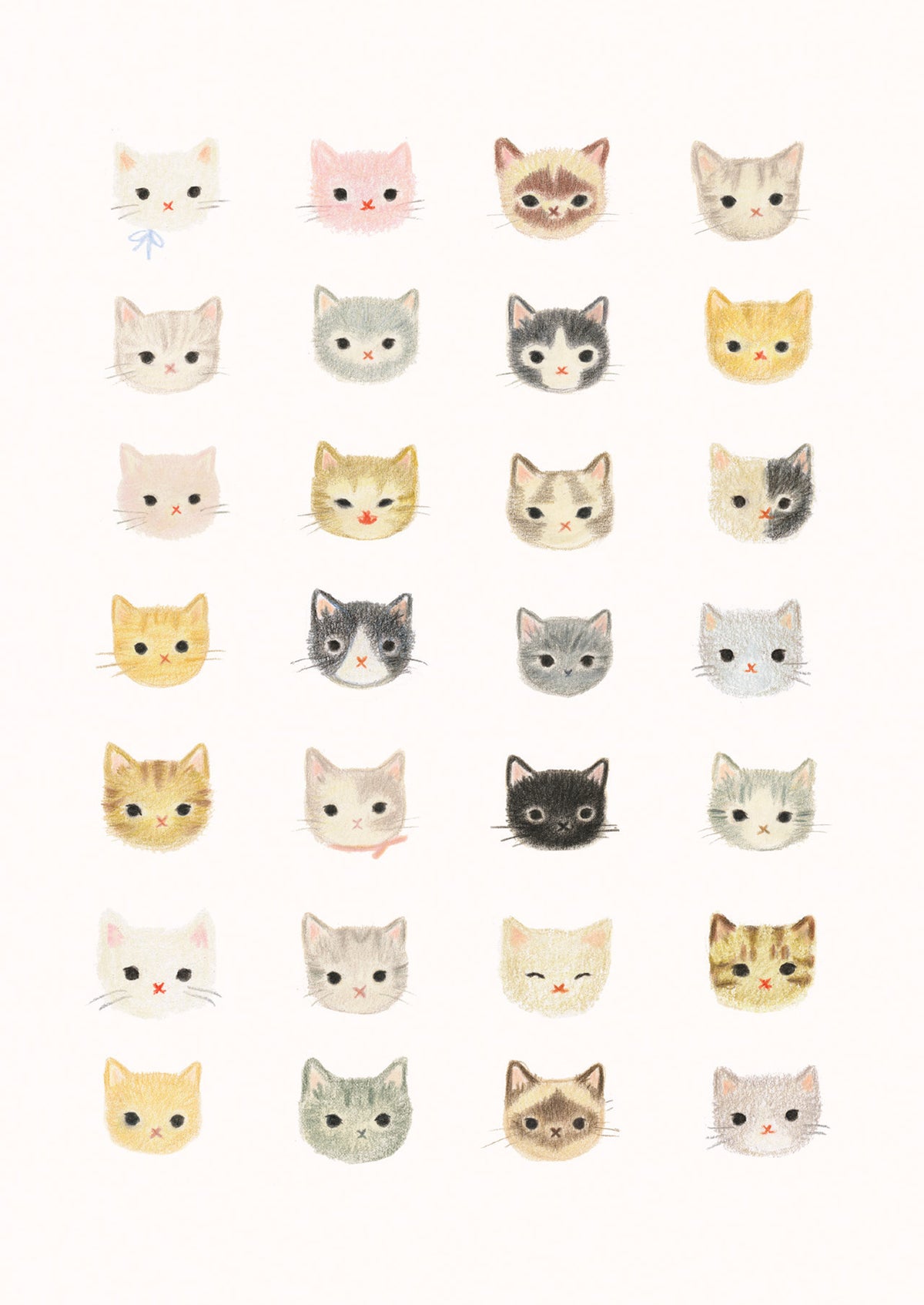 Postcard Set